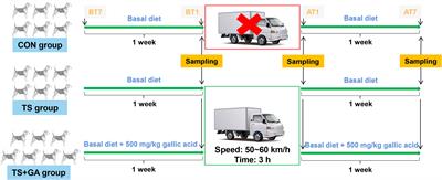 Gallic Acid Alleviates Gut Dysfunction and Boosts Immune and Antioxidant Activities in Puppies Under Environmental Stress Based on Microbiome–Metabolomics Analysis